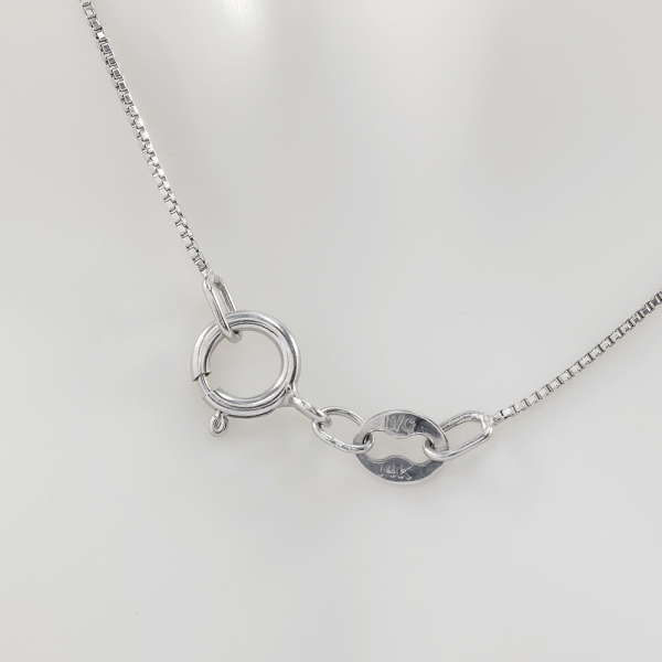 Colier & Pandantiv cu Cerc de Diamante din Aur Alb 14k