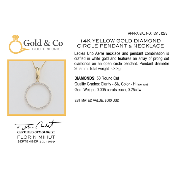 Colier & Pandantiv cu Cerc de Diamante din Aur Galben 14k