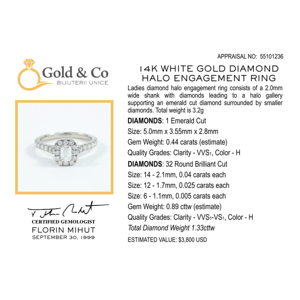 Inel de Logodnă Cu Diamante Halo din Aur Alb 14k