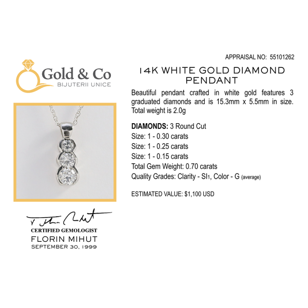 Pandantiv cu Diamante din Aur Alb 14k