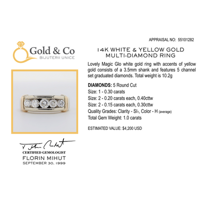 Inel cu Diamante din Aur Alb Și Galben 14k