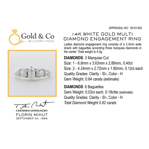 Inel de Logodnă cu Multiple Diamante din Aur Alb 14k